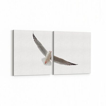 Olla 12639K2Y Hayvanlar Alemi Görseli Kare 2'li Yatay Kanvas Tablo (Ölçü: 125X60)