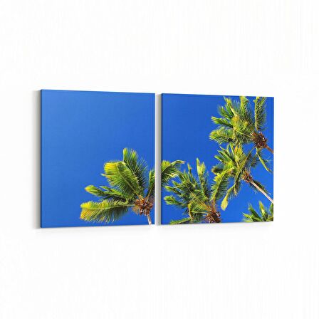Olla 11493K2Y Palmiye Ağacı Görseli Kare 2'li Yatay Kanvas Tablo (Ölçü: 65X30)