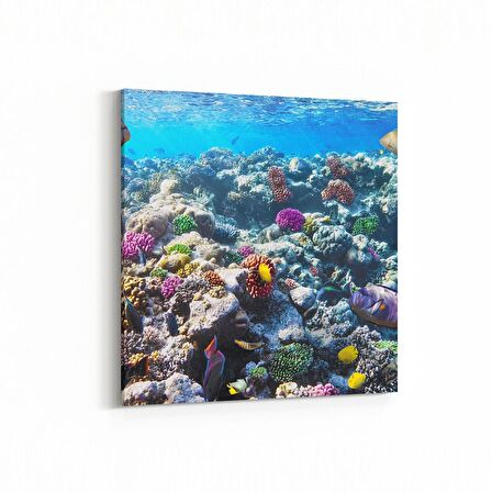 Olla 12073K Akvaryum / Balık Görseli Kare Kanvas Tablo (Ölçü: 25X25)