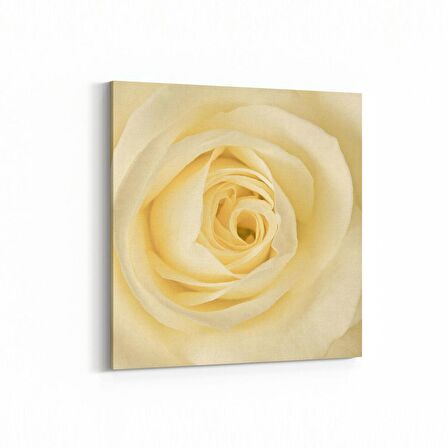 Olla 11644K Çiçek Görseli Kare Kanvas Tablo (Ölçü: 30X30)