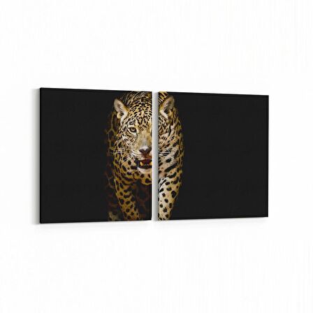 Olla 12477K2Y Hayvanlar Alemi Görseli Kare 2'li Yatay Kanvas Tablo (Ölçü: 85X40)