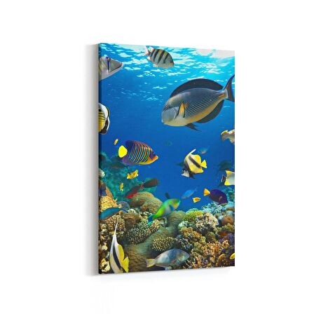 Olla 12207D Akvaryum / Balık Görseli Dikey Kanvas Tablo (Ölçü: 20X30)