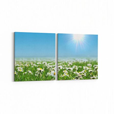 Olla 14585K2Y Doğa / Manzara Görseli Kare 2'li Yatay Kanvas Tablo (Ölçü: 65X30)