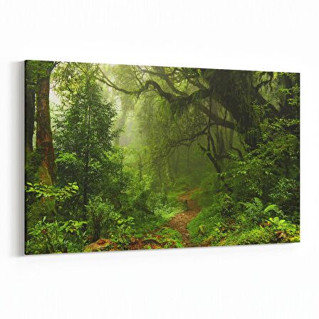 Olla 13455Y Doğa / Manzara Görseli Yatay Kanvas Tablo (Ölçü: 70X50)