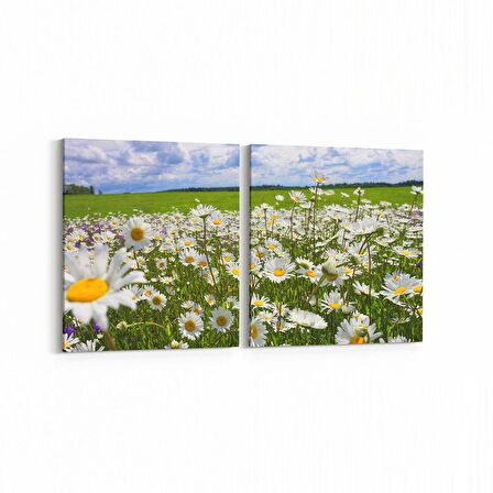 Olla 13792K2Y Doğa / Manzara Görseli Kare 2'li Yatay Kanvas Tablo (Ölçü: 105X50)