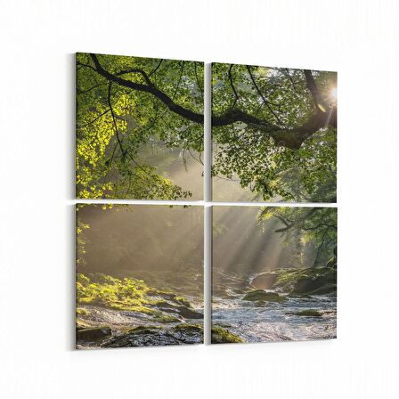 Olla 14139K4 Doğa / Manzara Görseli Kare 4'lü Kanvas Tablo (Ölçü: 65X65)