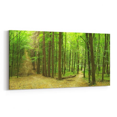 Olla 13946YD Doğa / Manzara Görseli Yatay Dar Kanvas Tablo (Ölçü: 80X40)