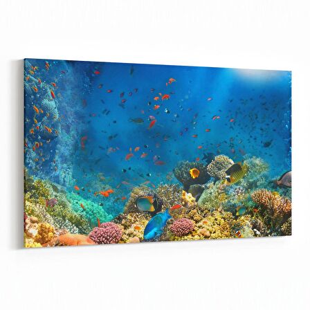 Olla 12115Y Akvaryum / Balık Görseli Yatay Kanvas Tablo (Ölçü: 150X100)