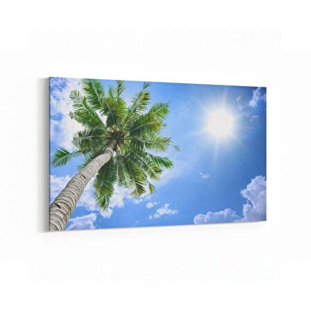 Olla 11503Y Palmiye Ağacı Görseli Yatay Kanvas Tablo (Ölçü: 45X30)