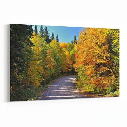 Olla 14015Y Doğa / Manzara Görseli Yatay Kanvas Tablo (Ölçü: 120X80)