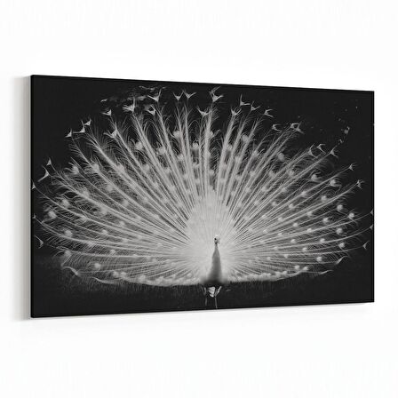 Olla 12601Y Hayvanlar Alemi Görseli Yatay Kanvas Tablo (Ölçü: 90X60)