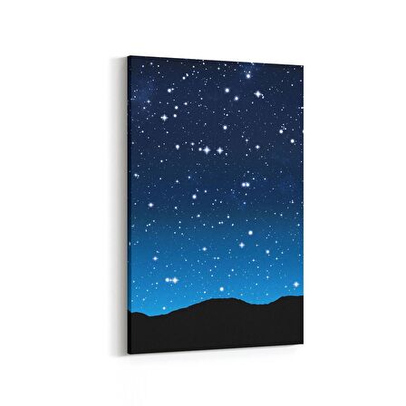 Olla 14667D Gece Gökyüzü Görseli Dikey Kanvas Tablo (Ölçü: 20X30)