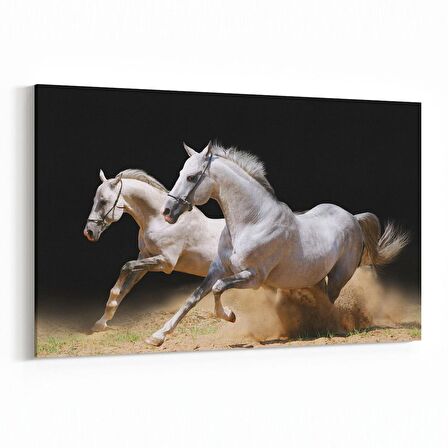 Olla 12589Y Hayvanlar Alemi Görseli Yatay Kanvas Tablo (Ölçü: 90X60)