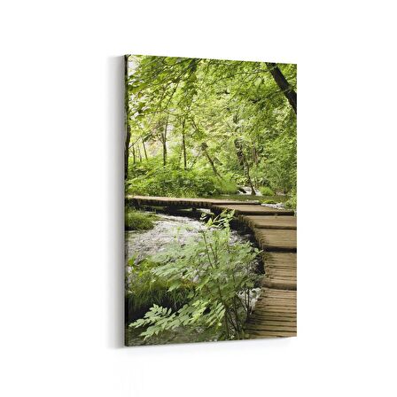 Olla 14231D Doğa / Manzara Görseli Dikey Kanvas Tablo (Ölçü: 80X120)