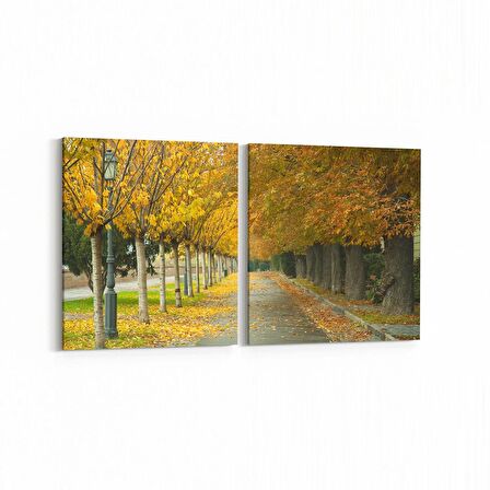 Olla 13525K2Y Doğa / Manzara Görseli Kare 2'li Yatay Kanvas Tablo (Ölçü: 145X70)