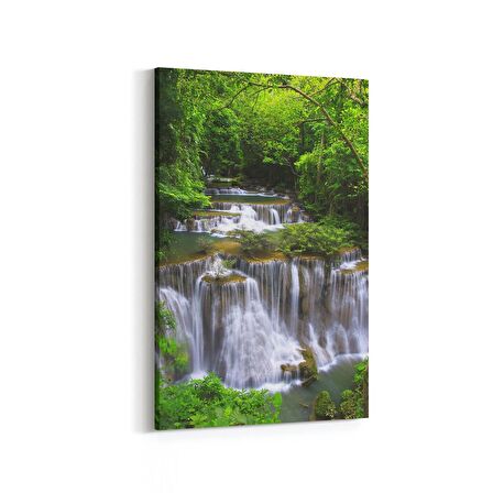 Olla 14542D Doğa / Manzara Görseli Dikey Kanvas Tablo (Ölçü: 60X90)