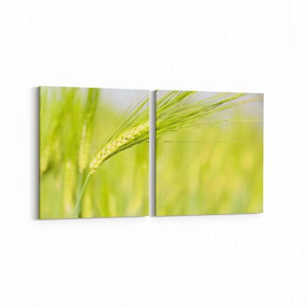 Olla 14327K2Y Doğa / Manzara Görseli Kare 2'li Yatay Kanvas Tablo (Ölçü: 65X30)