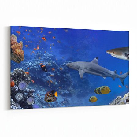 Olla 12143Y Akvaryum / Balık Görseli Yatay Kanvas Tablo (Ölçü: 30X20)
