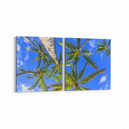 Olla 11516K2Y Palmiye Ağacı Görseli Kare 2'li Yatay Kanvas Tablo (Ölçü: 125X60)