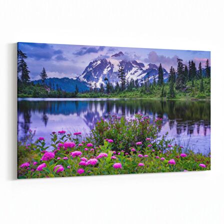 Olla 13493Y Doğa / Manzara Görseli Yatay Kanvas Tablo (Ölçü: 150X100)