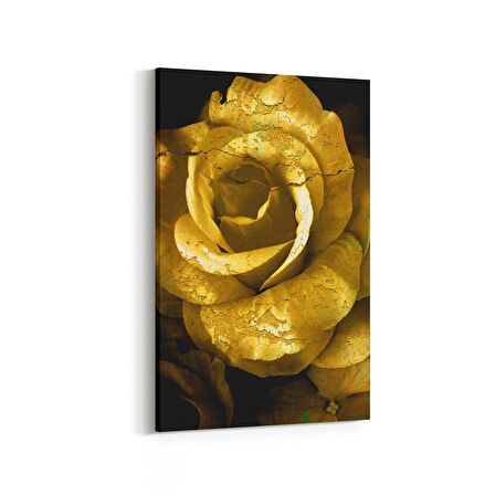 Olla 11593D Çiçek Görseli Dikey Kanvas Tablo (Ölçü: 40X60)
