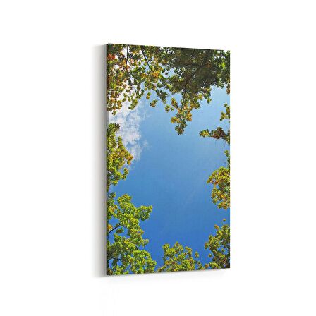 Olla 10831DD Ağaç Görseli Dikey Dar Kanvas Tablo (Ölçü: 30X60)