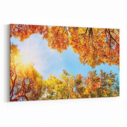 Olla 10792Y Ağaç Görseli Yatay Kanvas Tablo (Ölçü: 30X20)