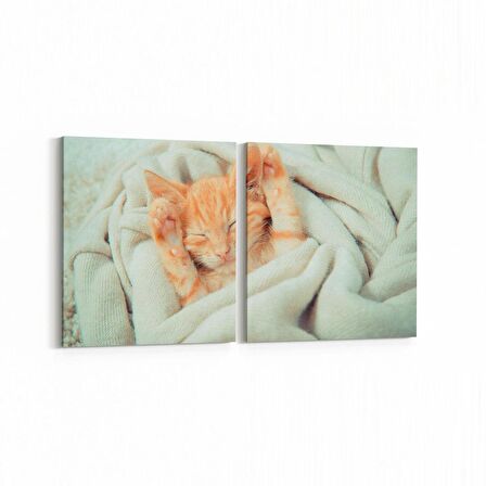 Olla 12684K2Y Hayvanlar Alemi Görseli Kare 2'li Yatay Kanvas Tablo (Ölçü: 125X60)