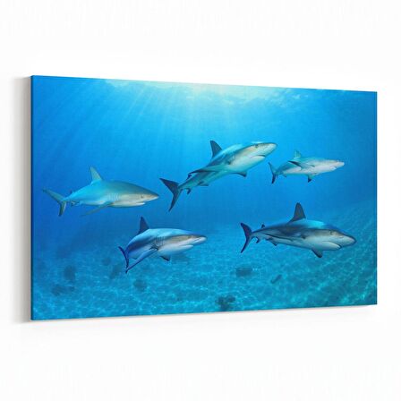 Olla 12870Y Deniz / Okyanus Görseli Yatay Kanvas Tablo (Ölçü: 90X60)