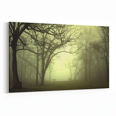 Olla 13884Y Doğa / Manzara Görseli Yatay Kanvas Tablo (Ölçü: 70X50)