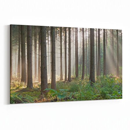 Olla 13202Y Doğa / Manzara Görseli Yatay Kanvas Tablo (Ölçü: 30X20)