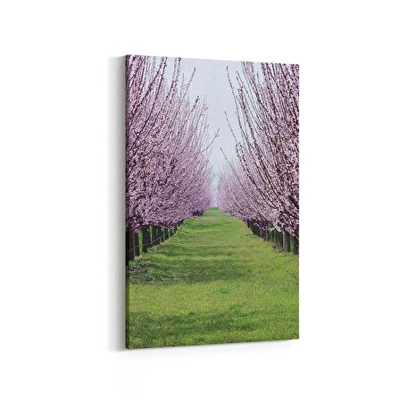 Olla 13453D Doğa / Manzara Görseli Dikey Kanvas Tablo (Ölçü: 100X150)
