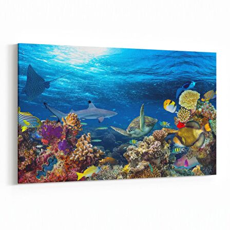 Olla 12158Y Akvaryum / Balık Görseli Yatay Kanvas Tablo (Ölçü: 120X80)