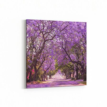 Olla 13983K Doğa / Manzara Görseli Kare Kanvas Tablo (Ölçü: 25X25)