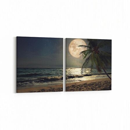 Olla 14780K2Y Gece Gökyüzü Görseli Kare 2'li Yatay Kanvas Tablo (Ölçü: 85X40)