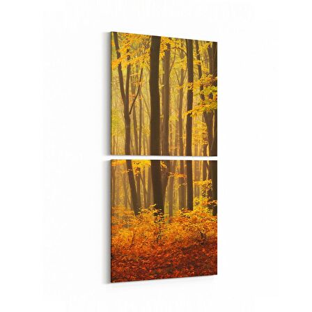 Olla 13356K2D Doğa / Manzara Görseli Kare 2'li Dikey Kanvas Tablo (Ölçü: 30X65)