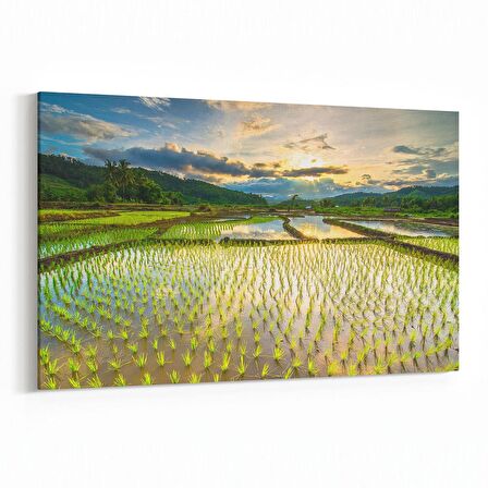 Olla 16040Y Günbatımı Görseli Yatay Kanvas Tablo (Ölçü: 30X20)