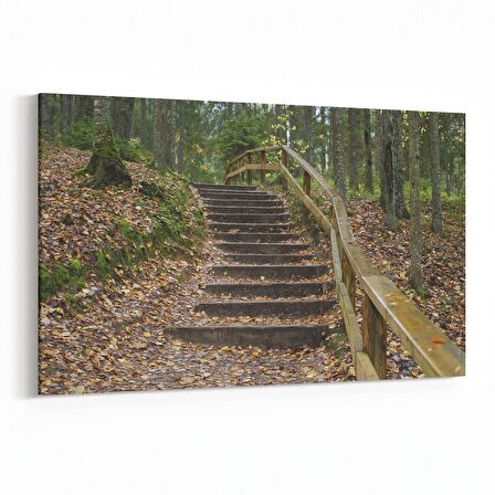 Olla 14494Y Doğa / Manzara Görseli Yatay Kanvas Tablo (Ölçü: 45X30)