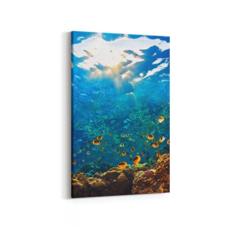 Olla 12077D Akvaryum / Balık Görseli Dikey Kanvas Tablo (Ölçü: 60X90)