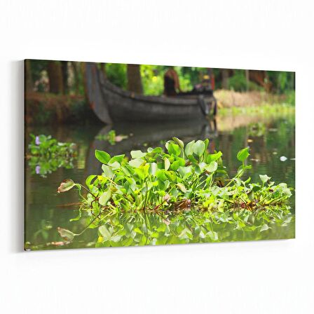 Olla 13340Y Doğa / Manzara Görseli Yatay Kanvas Tablo (Ölçü: 150X100)