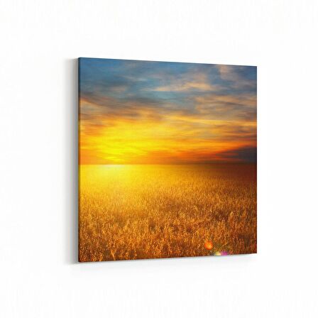 Olla 16033K Günbatımı Görseli Kare Kanvas Tablo (Ölçü: 25X25)