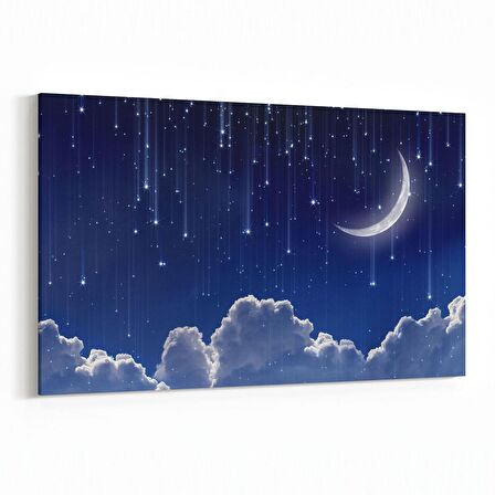 Olla 14661Y Gece Gökyüzü Görseli Yatay Kanvas Tablo (Ölçü: 90X60)