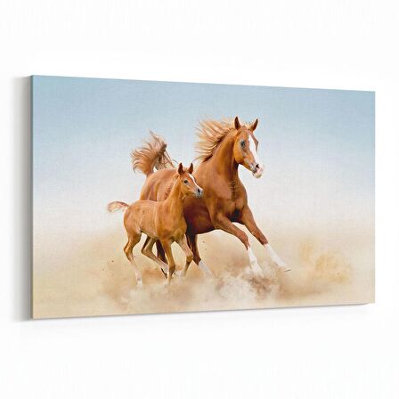 Olla 12643Y Hayvanlar Alemi Görseli Yatay Kanvas Tablo (Ölçü: 45X30)