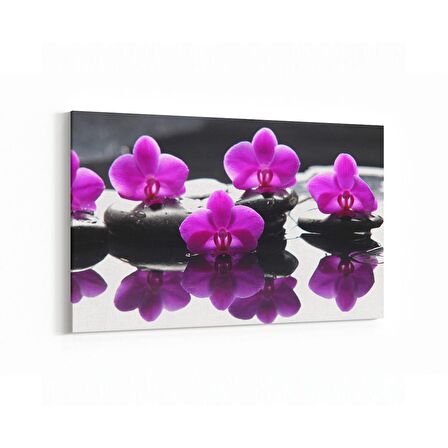 Olla 17104Y Spa / Masaj Görseli Yatay Kanvas Tablo (Ölçü: 150X100)