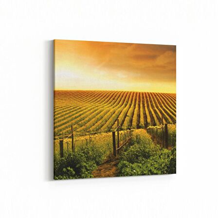 Olla 15939K Günbatımı Görseli Kare Kanvas Tablo (Ölçü: 25X25)