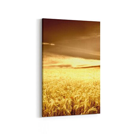 Olla 15895D Günbatımı Görseli Dikey Kanvas Tablo (Ölçü: 20X30)
