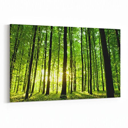 Olla 13250Y Doğa / Manzara Görseli Yatay Kanvas Tablo (Ölçü: 150X100)