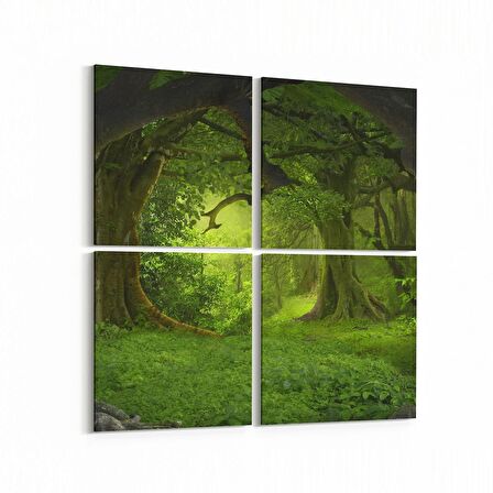 Olla 14120K4 Doğa / Manzara Görseli Kare 4'lü Kanvas Tablo (Ölçü: 145X145)