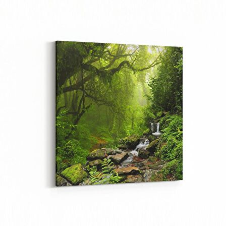 Olla 13737K Doğa / Manzara Görseli Kare Kanvas Tablo (Ölçü: 25X25)