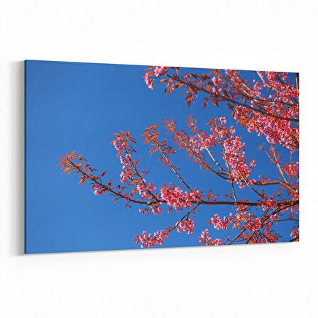 Olla 10513Y Ağaç Görseli Yatay Kanvas Tablo (Ölçü: 45X30)